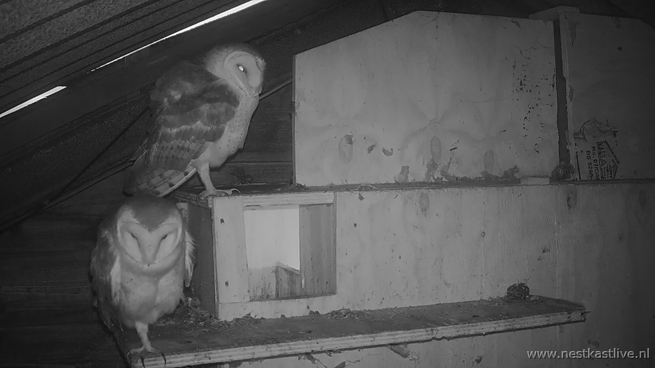 snapshot 2025 12 17T170544 826