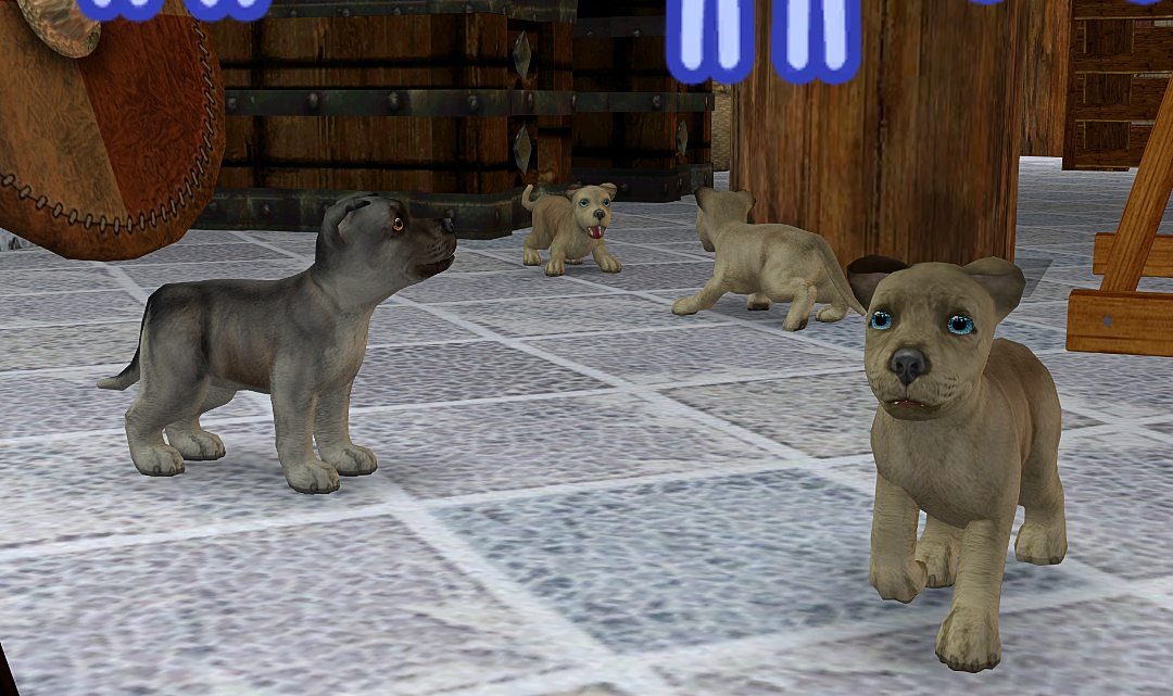 screenshot-2026-06-14-12-22