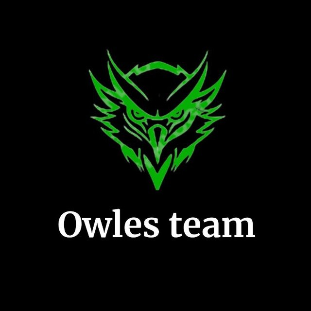 Owles Team