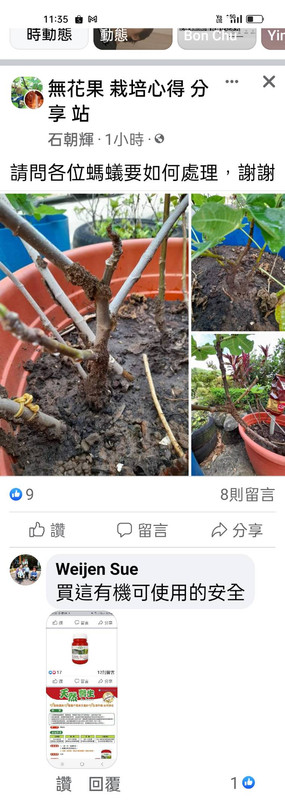 見證7