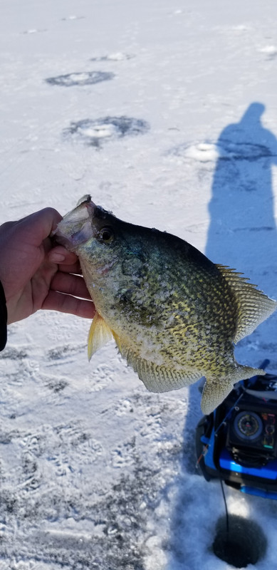 20190320_084526