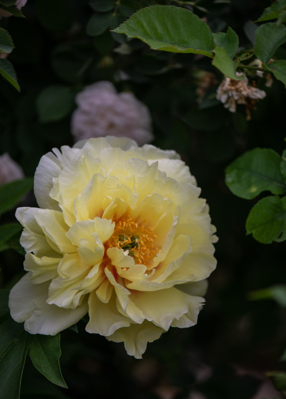 IMG-9b46b9f59de3713c1d49a2d5e05ea778-V