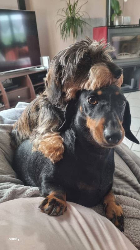 [Image: IMG-20231024-WA0001.jpg]