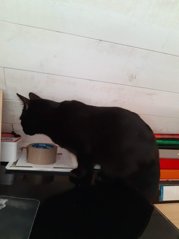 received_688625659328746