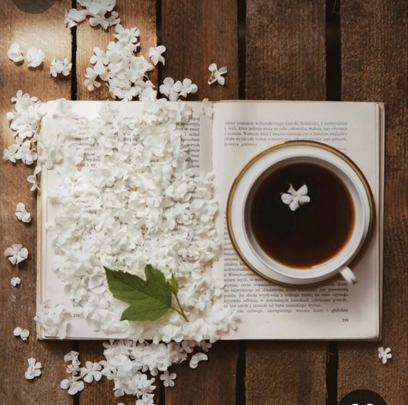 Screenshot_20240329_134814_Pinterest