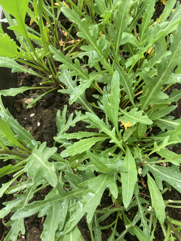 5D38AC71-8B6B-47E4-9B50-777D951A1A39