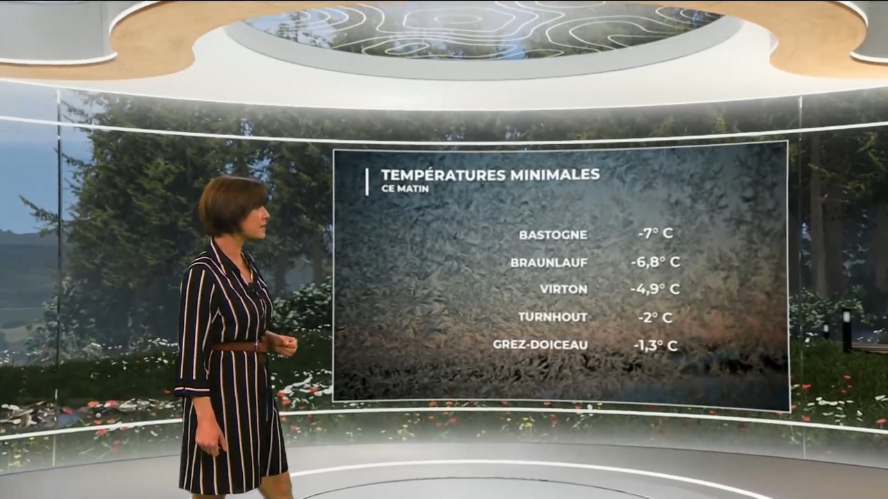 03.20 - 11.45.00 - Contacts. Verkeerstips.ts_snapshot_13.36.618