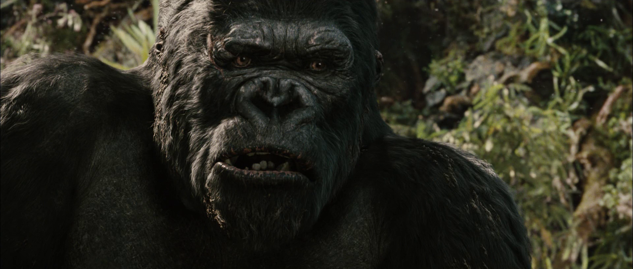 vlcsnap-2025-08-18-10h51m12s692