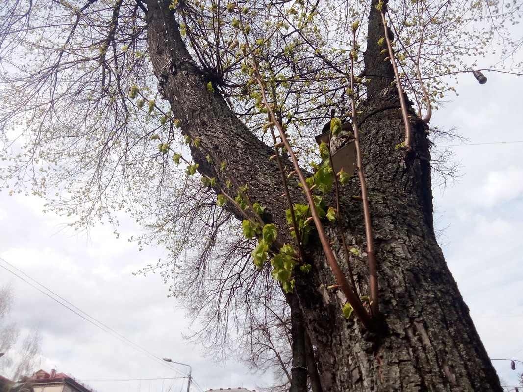 photo_2025-04-05 7.16.23 пп