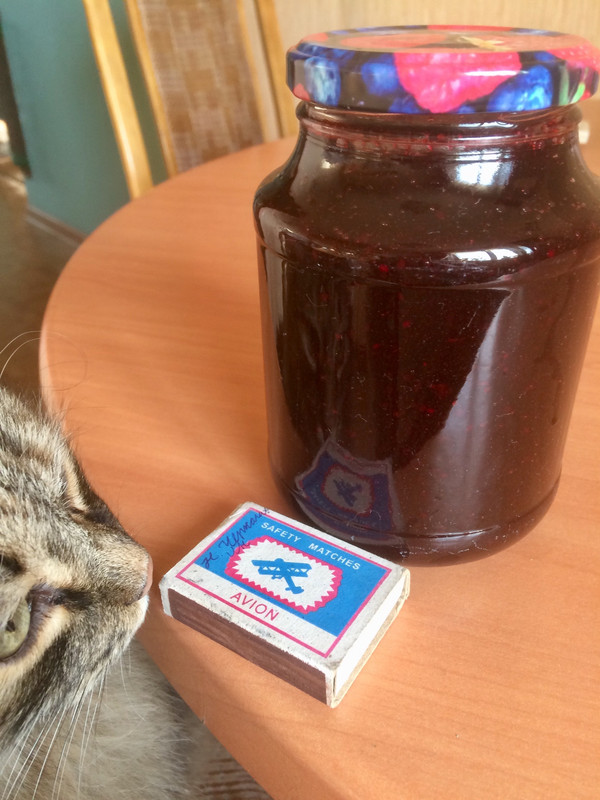 B3321E75-FC81-4AC5-BACD-23A9EB5DA1C7