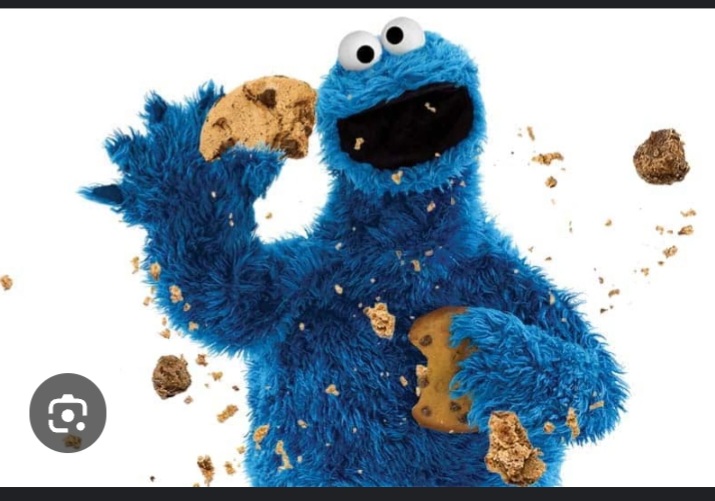 Screenshot_20240828-054129_Google