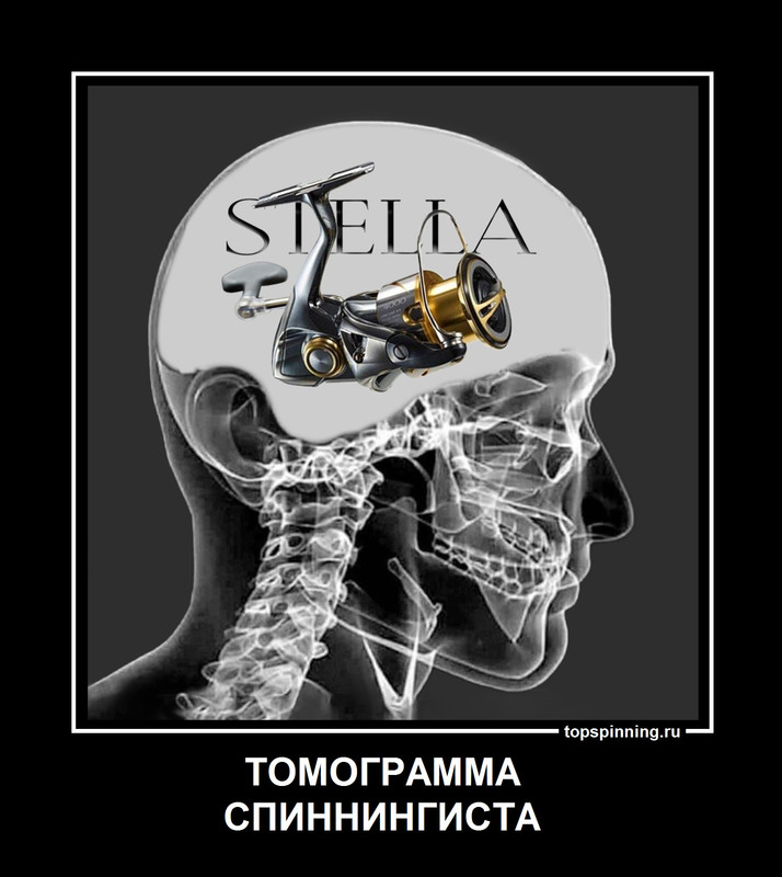демотиватор рыбалка Shimano Stella джиг спиннинг мастер-класс Куляпин Андрей обучение судак щука рыб