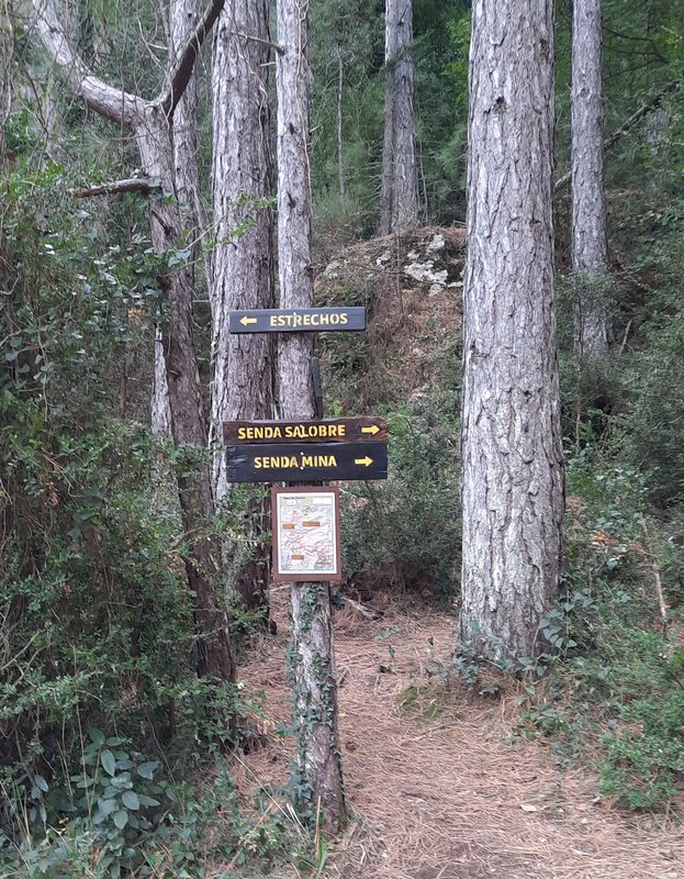 Día 3. Ruta del Parrizal, Beceite - Comarca del Matarraña: escapada de 4 días. (8)