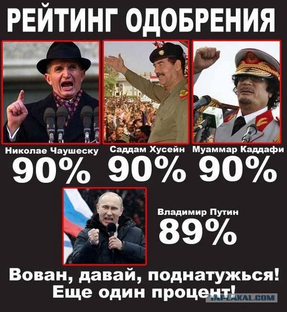 241097376-51a8c59fb719aacc633ca4e6df9a320a-800