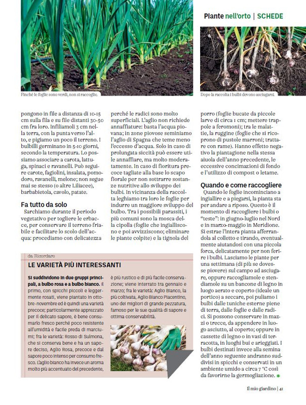 Il Mio Giar Dic 2023-Gen 2024 (12)