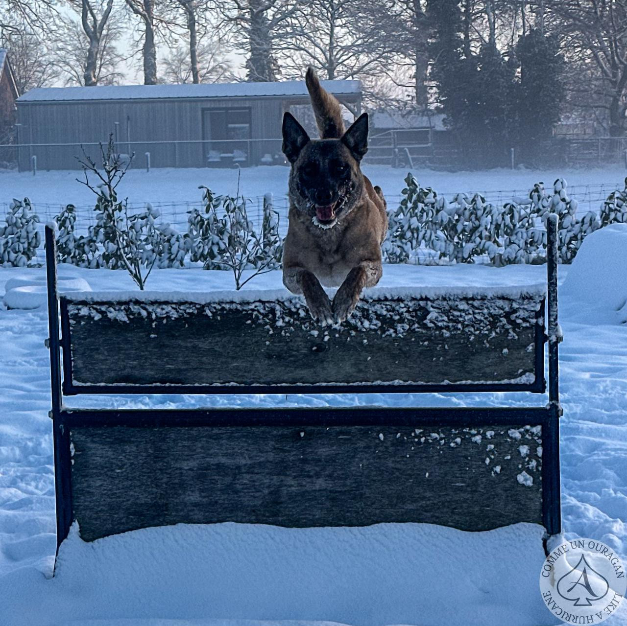 D9AB6DC1 768A 42BE B90D 72901D678747