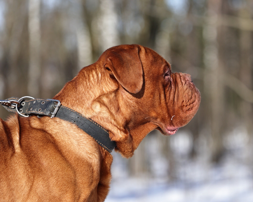 A4349737-D321-4B07-81A0-A757D17BC184