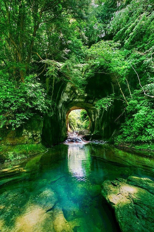 greenjapan.jpg