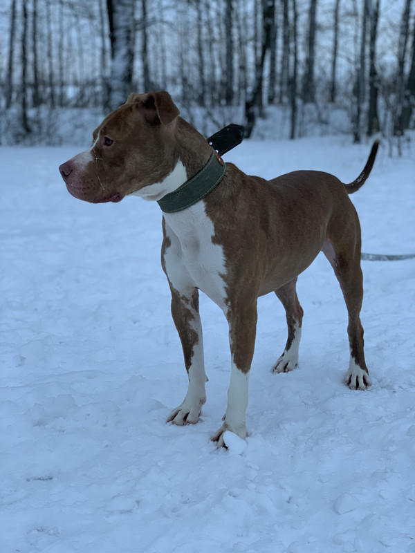 1D1494C0-8CFB-49F5-8527-2C34122BB193