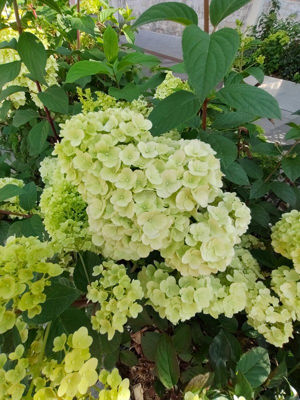 https://i.postimg.cc/wvkh5yM1/07-IMG-20230801-165401.jpg