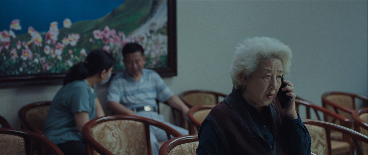 The Farewell - Una bugia buona (2019) [BluRay Rip 1080p ITA-ENG DTS-AC3 SUBS] [M@HD].mkv_snapshot_00