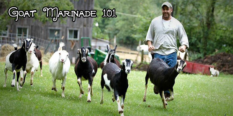 goat_marinade_101.png