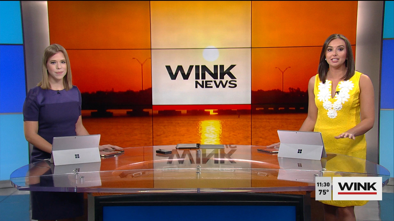 03.14 - 15.30.00 - WINK News @ 11 30AM. Local news, sports and weathe....ts_snapshot_01.53.437