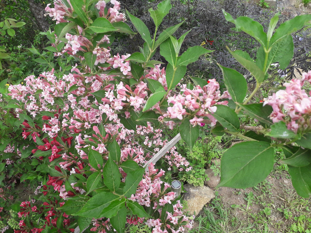 20190505_130953