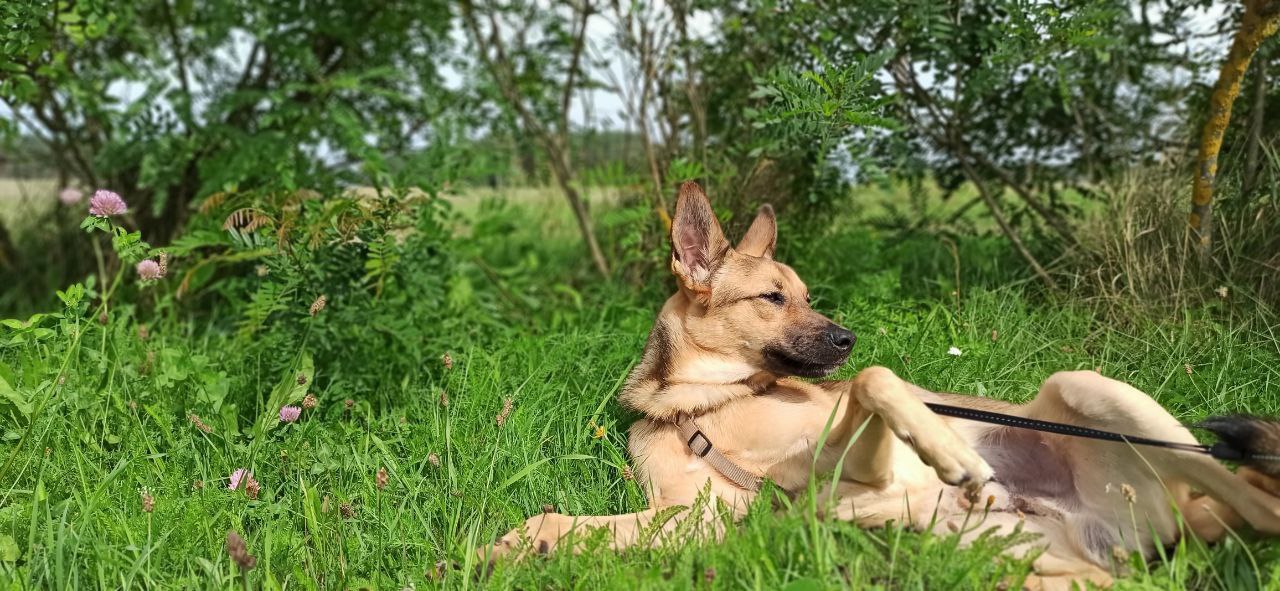 66765017-8A1E-4217-B613-124C553E1F90