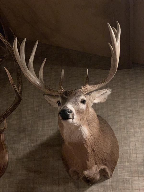 BAD4F7D4-5102-4BC9-ABA7-34E4CA2CA3E8