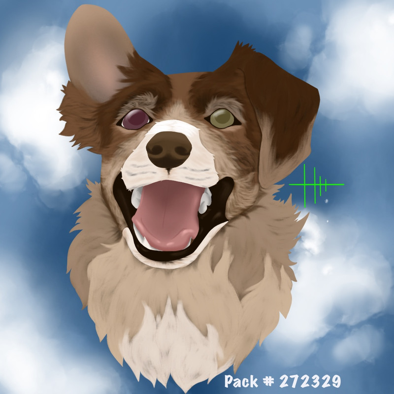 Evie(the11)'s character