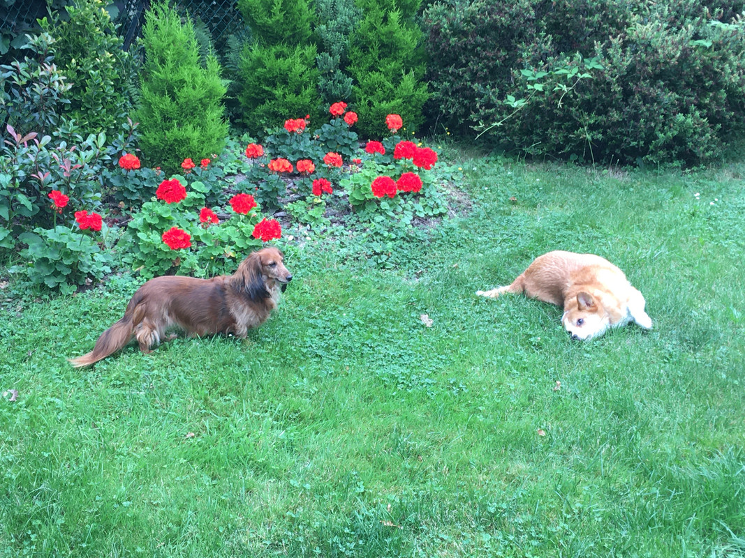 [Image: 025-D21-DD-487-D-4951-9-A59-EE219-B0-A0919.jpg]