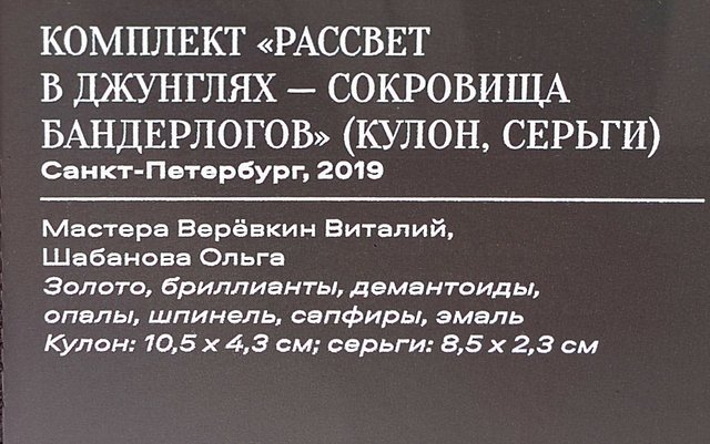 https://i.postimg.cc/wvnQvcH6/238-IMG-20241031-113544.jpg