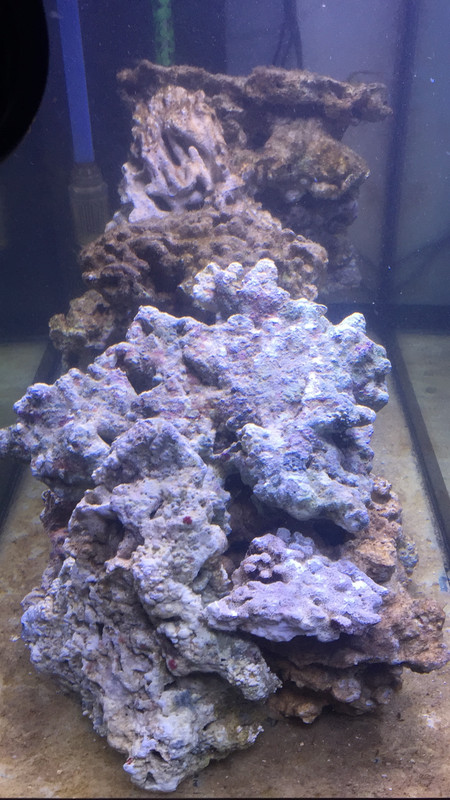 DE9E19C6-410D-493C-BA80-D83B41013CD7