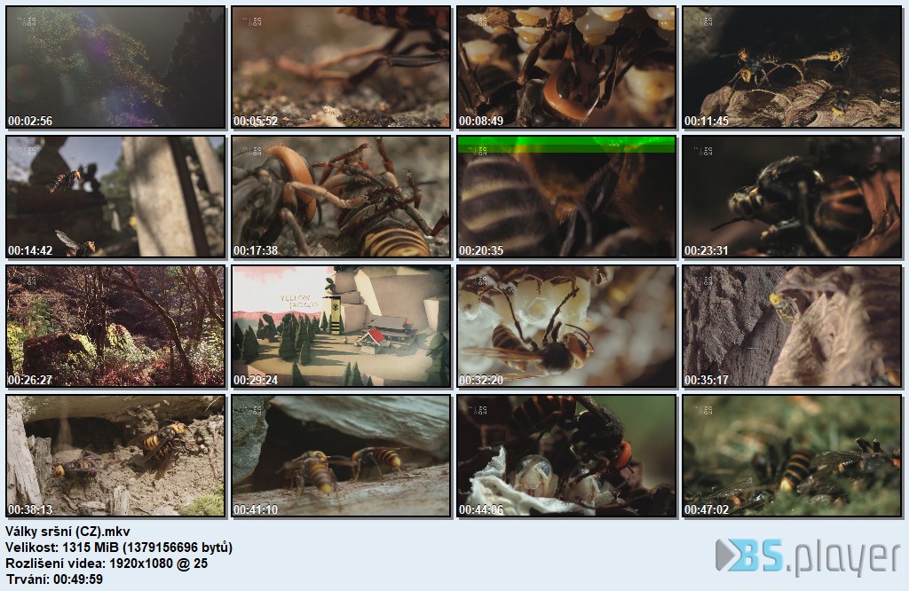 Války sršní / Killer Hornets / CZ