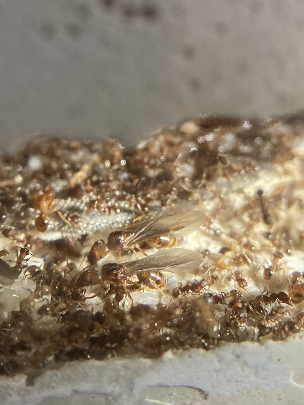 6DE4BDF1-F589-40FF-8E94-16506ACF7E59