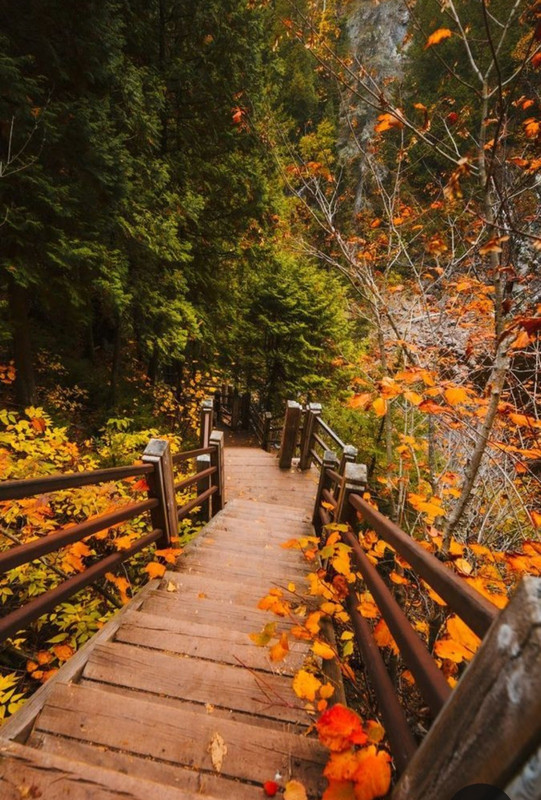 Screenshot_20231113_231113_Pinterest