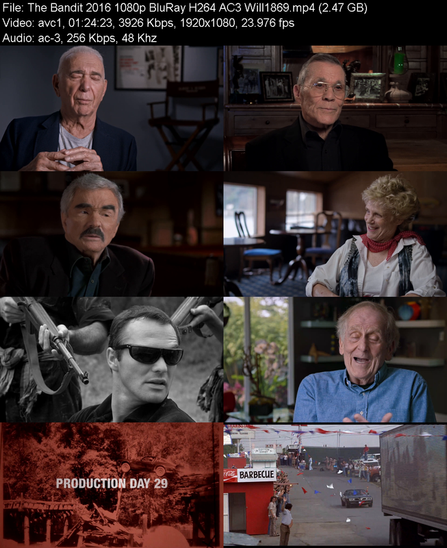 the-bandit-2016-1080p-bluray-h264-ac3-wi