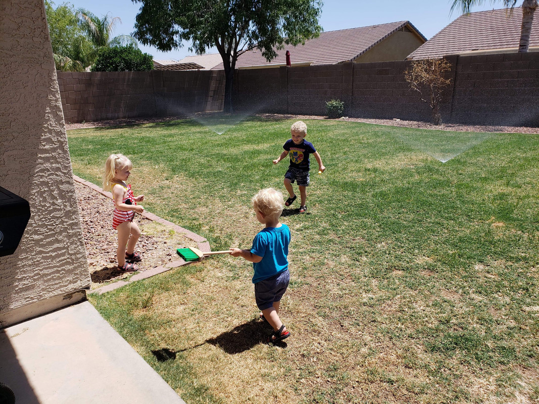 3D6F8B53-F7AB-41AA-8E88-DC613B6BBDD2