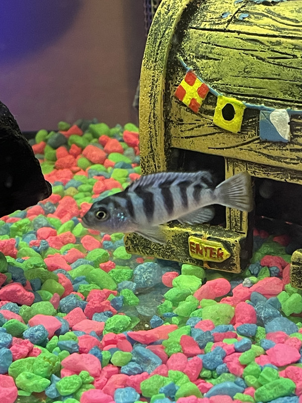 1129006C-5975-4273-AB41-60054E4528F7