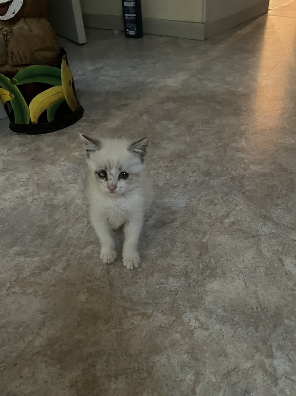 IMG-f289e30b36184bcbe99d275156144606-V