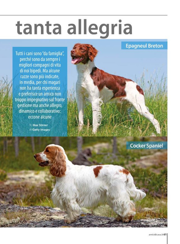 Il M C Mar-Apr 2024 (12)