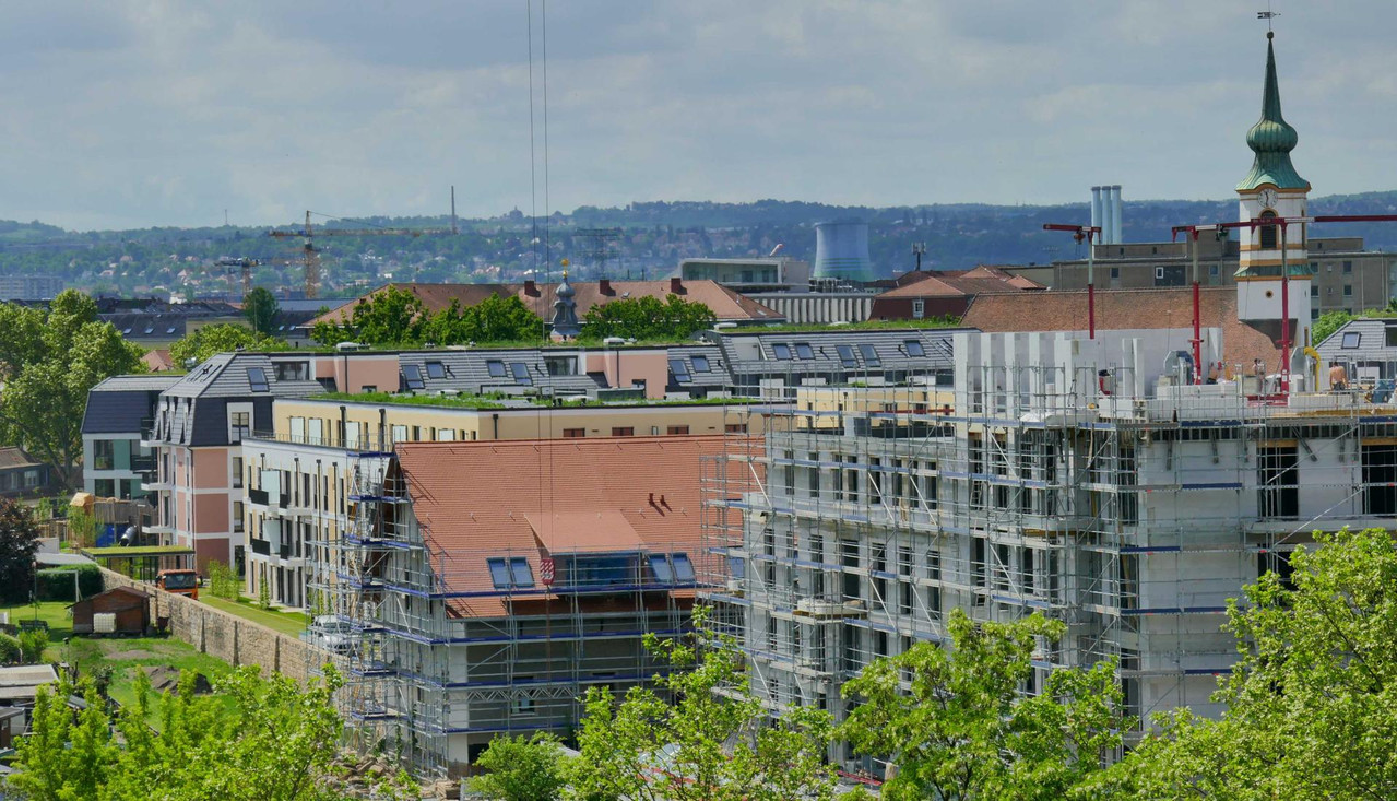Bild: https://i.postimg.cc/wvpt93Cq/P1360456.jpg