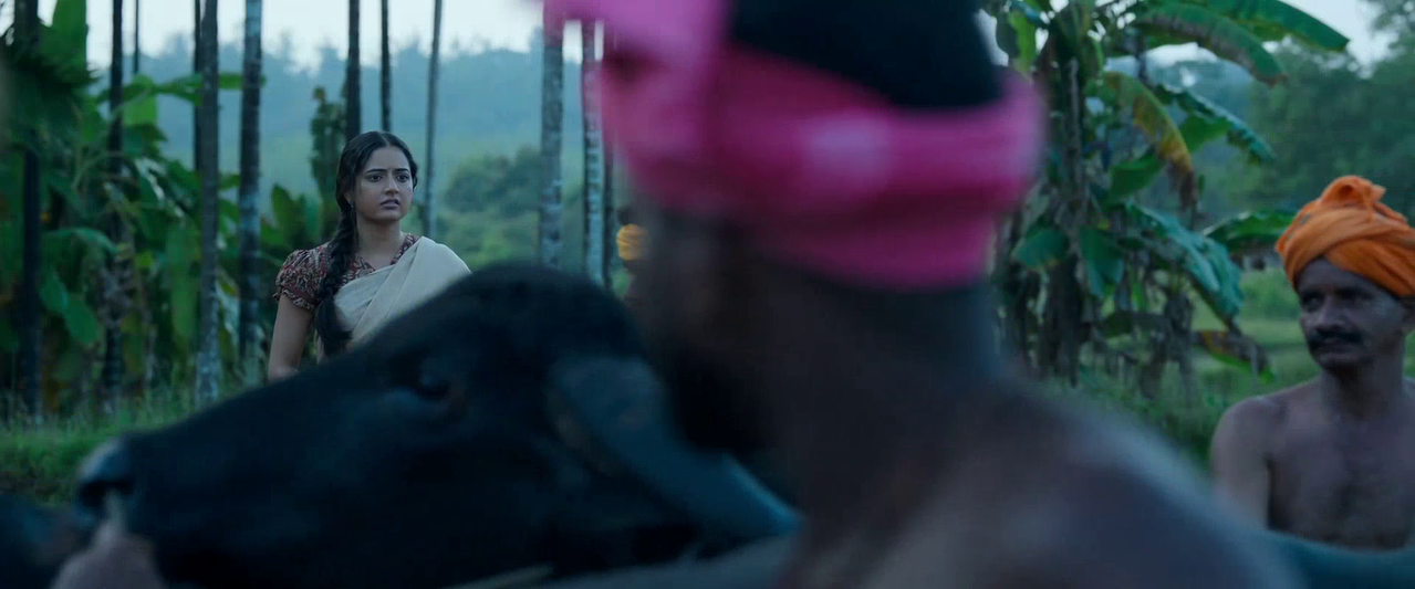 vlcsnap 2026 02 14 10h22m43s697