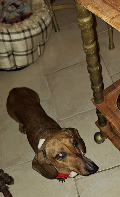 [Image: 20231216-191930.jpg]