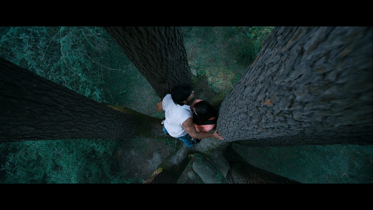 vlcsnap 2026 02 27 19h23m45s691