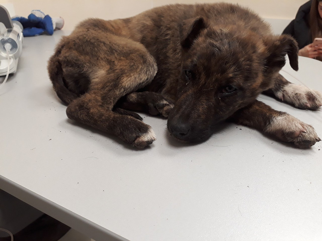 изображение_viber_2019-12-12_11-29-06