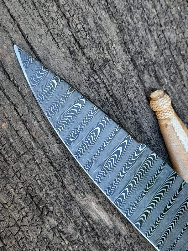 WhatsApp Image 2022-04-11 at 09.08.20 (2)