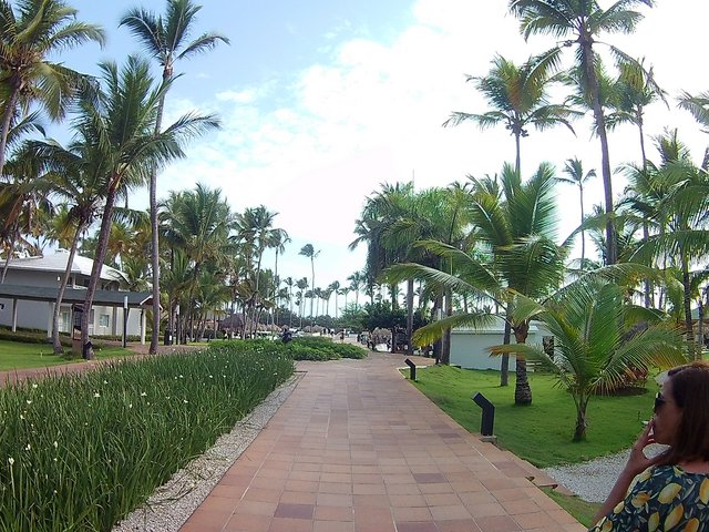 DIA 3 - HOTEL GRAND SIRENIS PUNTA CANA - Hotel Grand Sirenis Punta Cana + Samana + Cortecito (9)
