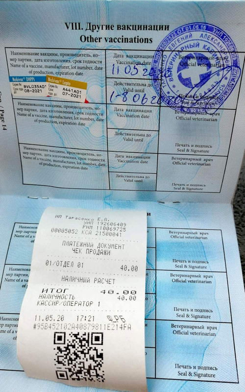 изображение_viber_2020-05-11_17-28-18